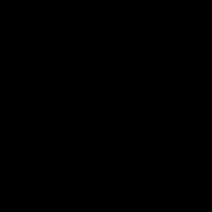 Meet your Posher, Alanna